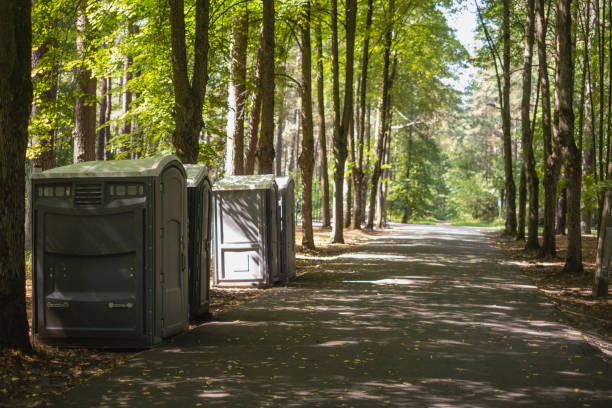 Best Best portable toilet rental  in Piednt, MO